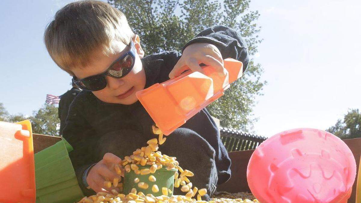 
Renn Rakers, 3, of Highalnd, pours kernels of corn from one bucket into another at the Corn Play Box at the Pumpkin Patch in Highland. There is always plenty of pumpkin fun around the metro-east during the month of October.
