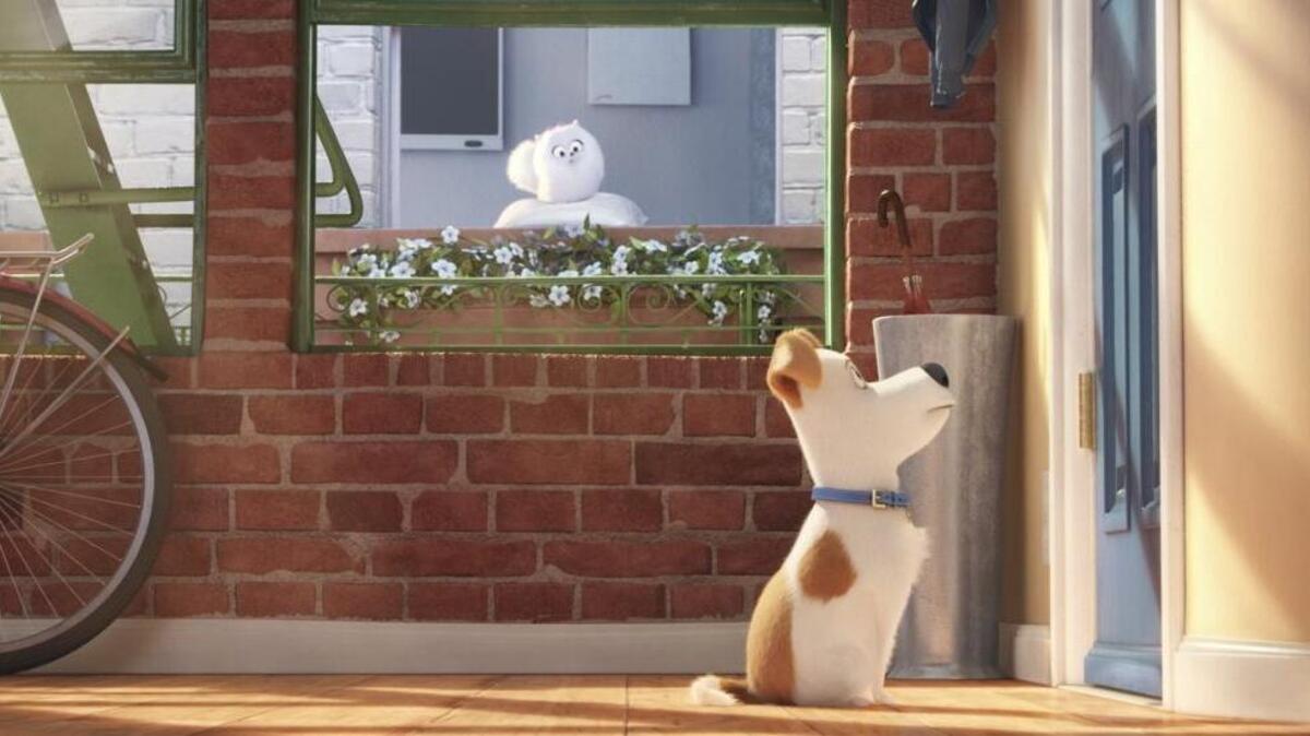 Louie C.K. is the voice of Max, a pampered pooch, in "The Secret Life of Pets."