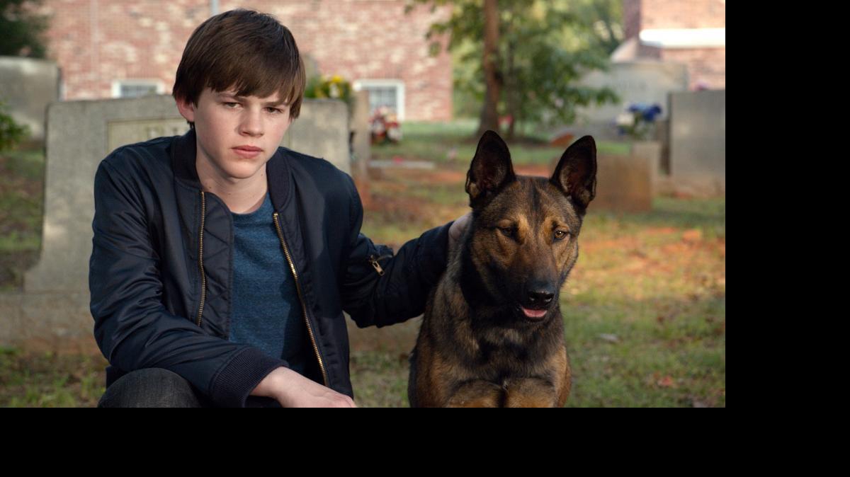 
Josh Wiggins and Max, the military trained German shepherd, hit it off in Max.
