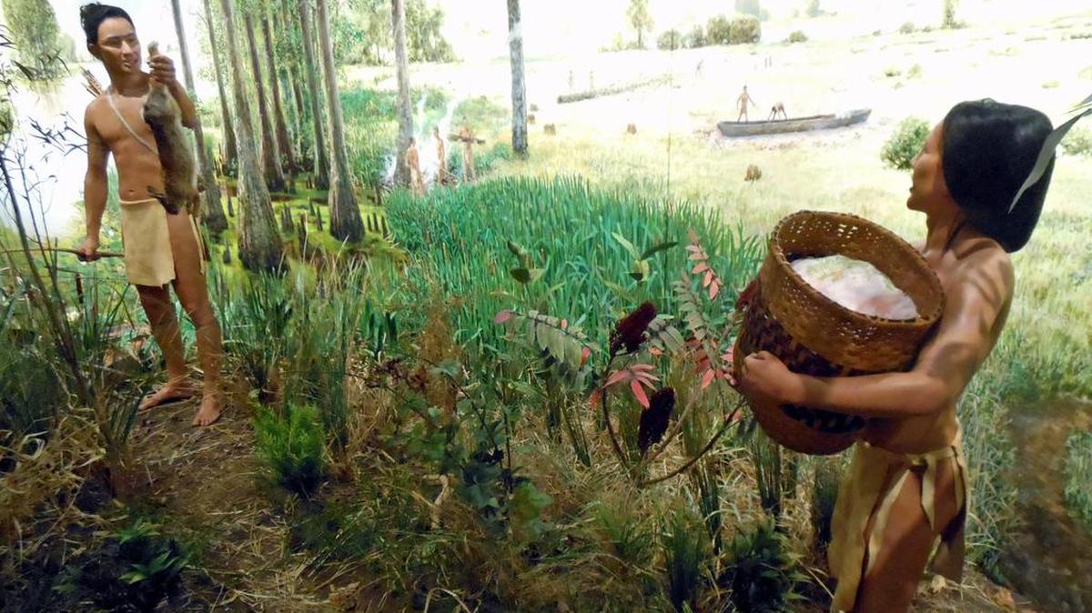 
A lifesize diorama in “Wetlands and Waterways: the Key to Cahokia” exhibit at Cahokia Mounds features a Native American woman harvesting squash, hunters and a lake.
