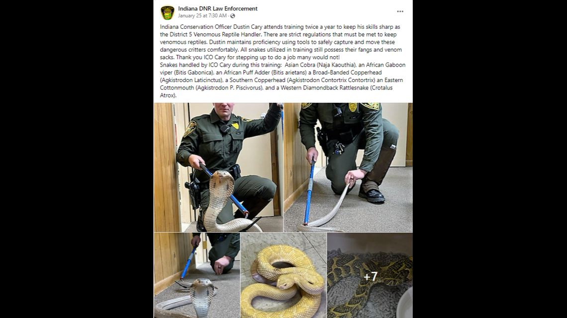 Indiana conservation law enforcement officers must face off with venomous snakes are part of their training, including puff adders, cobras and rattlesnakes.