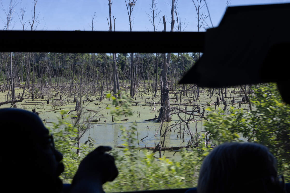 Participants on the “toxic tour” discuss a swamp-like body of water just off of an East St. Louis road.