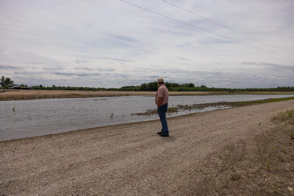 In May, Williams looks across the land he farmed until late last year at Dogtooth Bend.