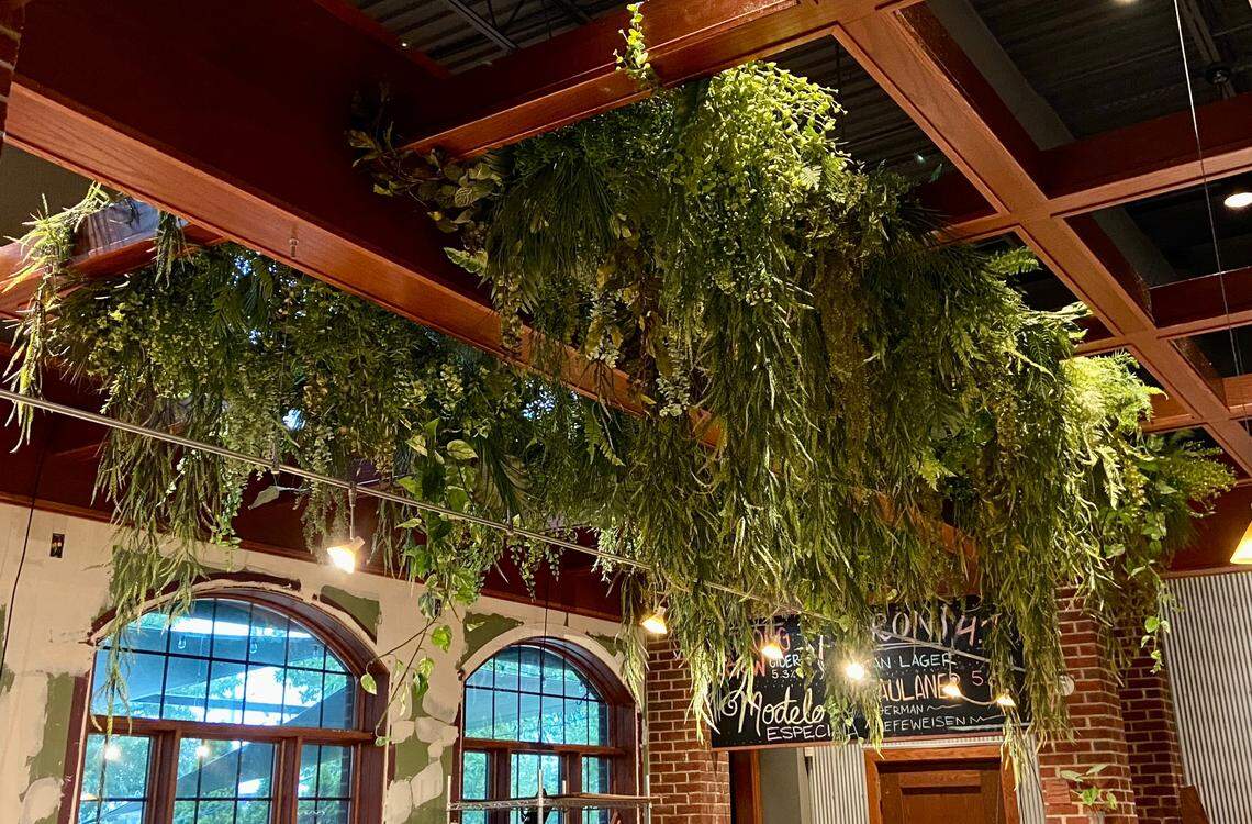 The fresh interior look includes hanging plants. The new design opens up the inside. Gone are the brick walls, to be replaced by couches.