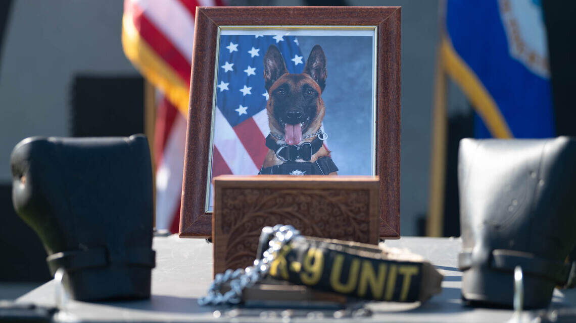 Ever vigilant, ever loyal: Late Military Working Dog XXue honored at Scott Air Force Base