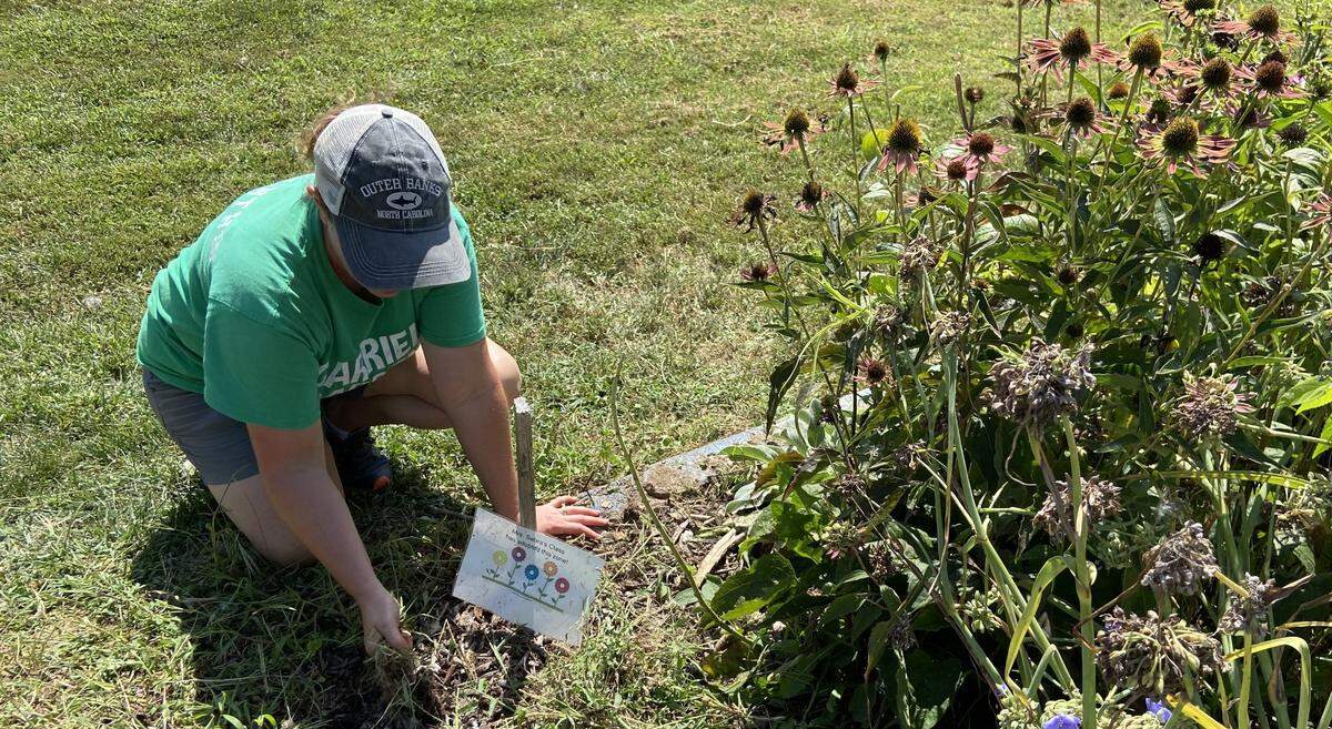 Life Science teacher Amanda Mellenthin pulls weeds. To teach about nature and ecosystem interactions, Mellenthin took the classroom outside at Carriel Junior High School several years ago, planting butterfly and vegetable gardens in a side yard, and later, a pollinator patch of native prairie grasses across the road. Now, a prestigious grant awarded to the Carriel Garden will further promote and enhance those outdoor learning spaces.
