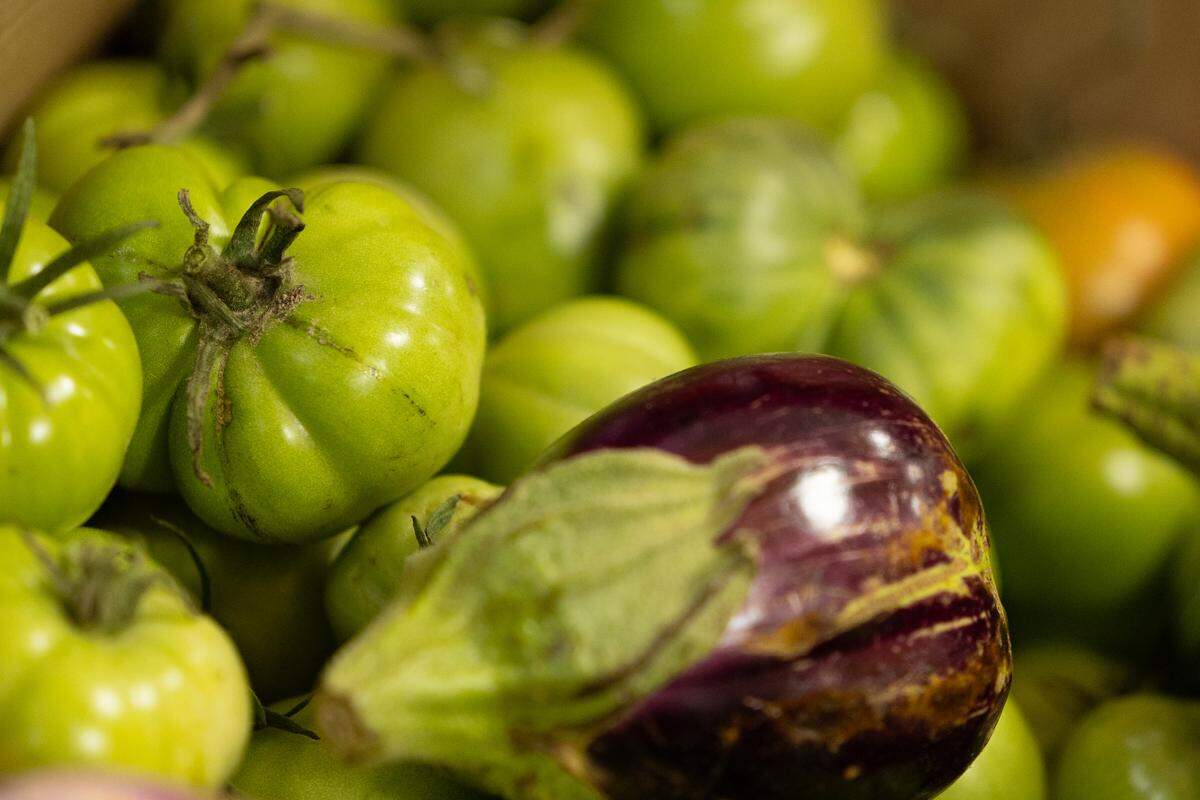 The Community Interfaith Food Pantry in Belleville offers produce that is donated through the St. Louis Area Foodbank and other sources.