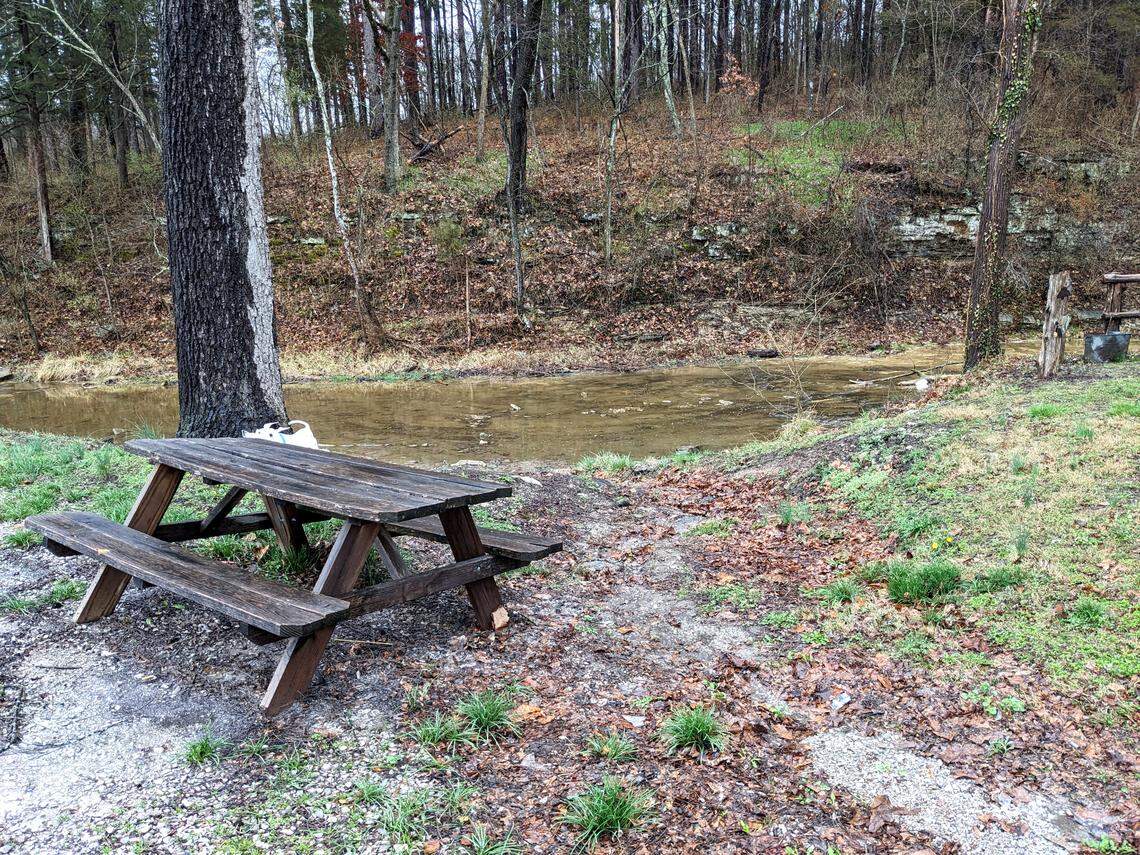 The Roastery in Maeystown has a beautiful setting for outdoor seating.