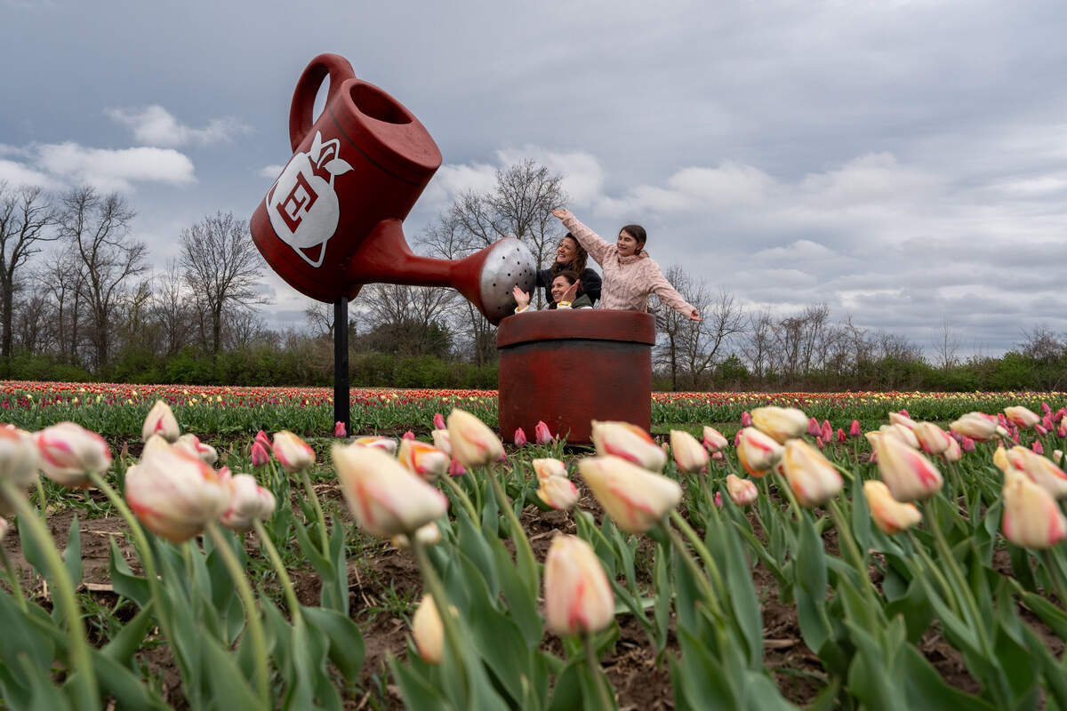 Christa Keener, of Lake St. Louis, Missouri, left to right, and Lisa Miller and Jillian Miller, both of Wentzville, Missouri, pose for a photo inside a giant metal pot at the Eckert’s Farm Tulip Trail on Friday in Belleville.