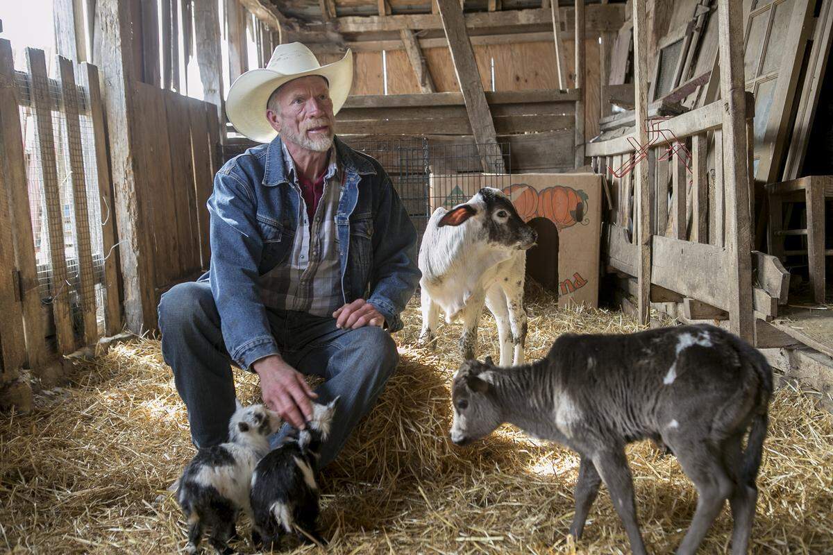 In this 2019 file photo, Alan Blumhorst is shown with animals in one of his barns at Rainbow Ranch in rural Nashville.