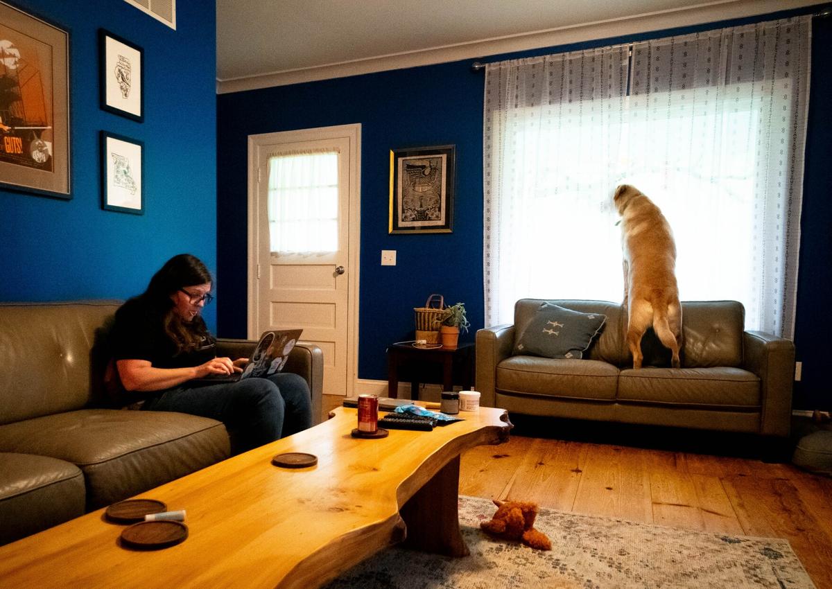 Allison Drieth, director of strategic partnerships for the Midwest Access Coalition, works at her computer in her metro-east home while her dog Delta, a 3-year-old yellow Lab mix, looks out the window. The abortion fund provides people traveling through the Midwest with financial, medical and emotional support.