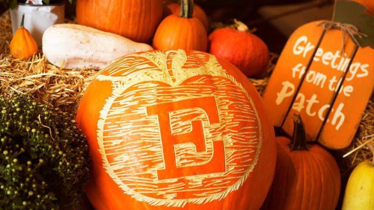 Pick-Your-Own Pumpkin season begins Sept. 25 at Eckert’s locations in Belleville, Grafton and Millstadt.
