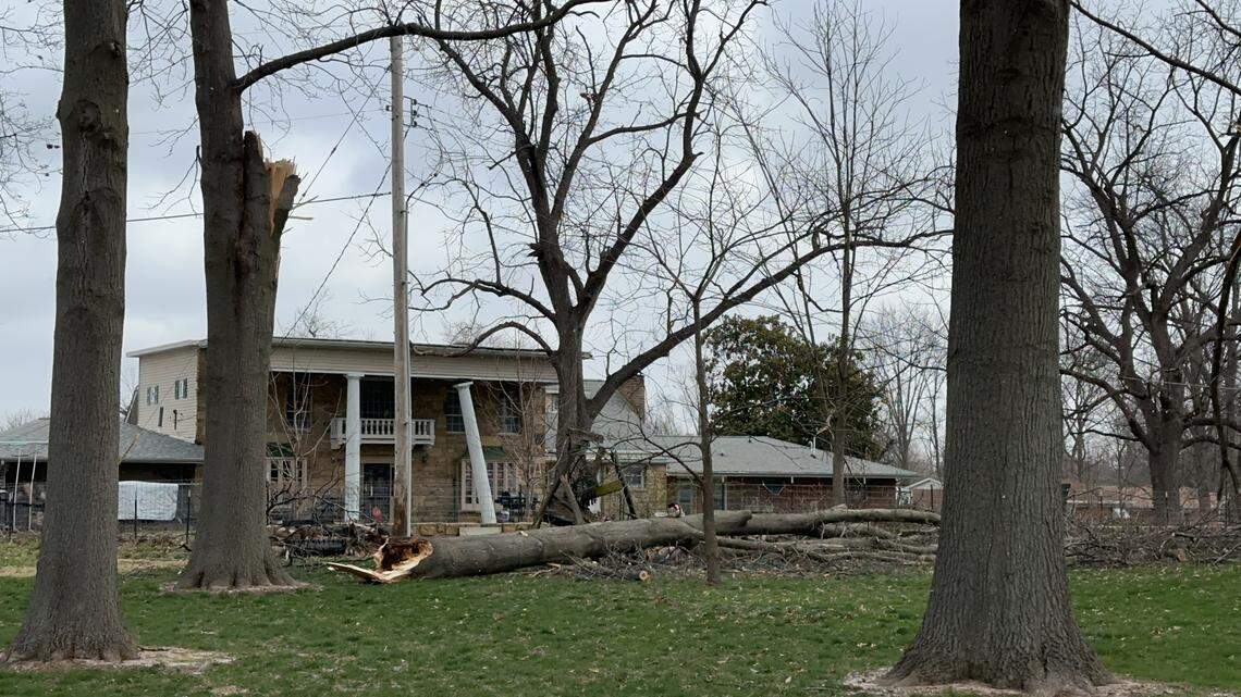 A March 15, 2026, tornado damaged buildings and trees in New Athens.
