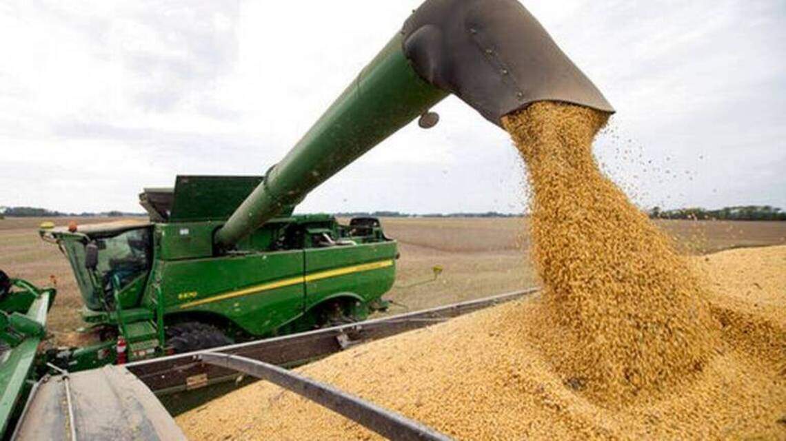 Kentucky farmer admits selling crops in other people’s names as part of insurance fraud