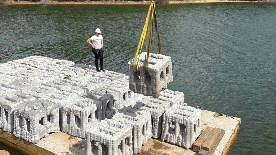 Dozens of 3-D printed, concrete cubes now sit in Lake Norman. Why they could help fish