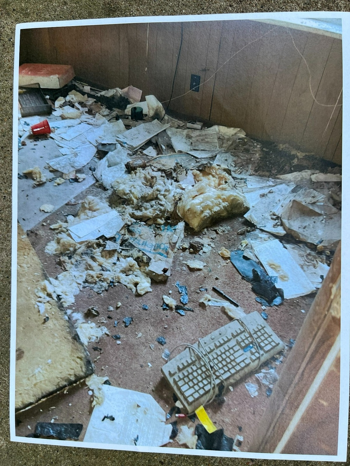 One of about 80 photos taken by Scott Tyler, the city of Belleville’s director of health, housing and building, inside a derelict building at 1013 W. Main St. that is slated for demolition.