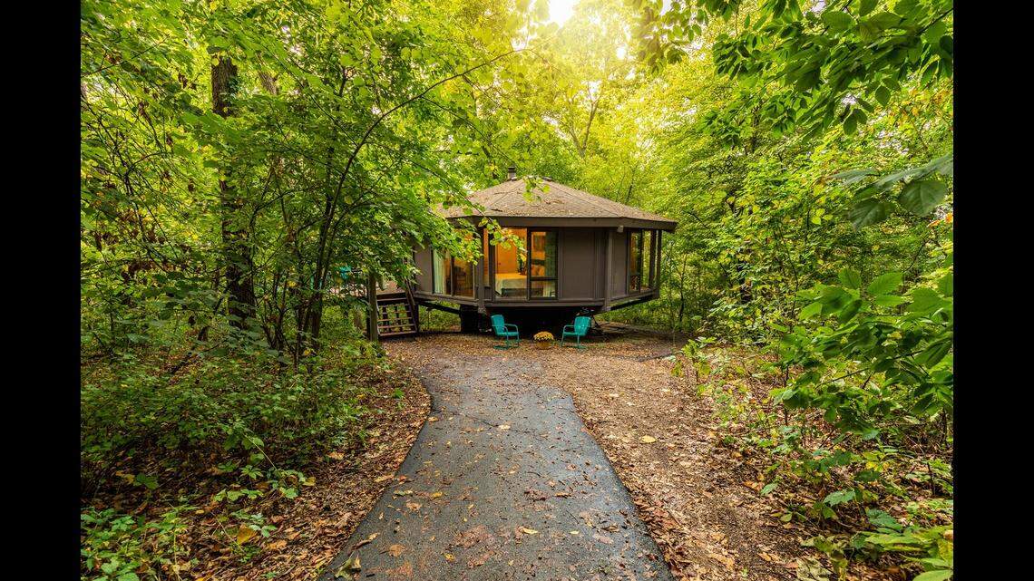 A mid-century mod treehouse rental is the most ‘wishlisted’ Airbnb in Illinois