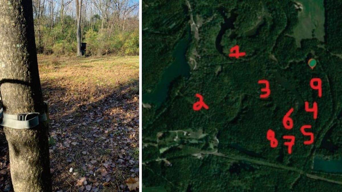 A camera is shown strapped to a tree, left, near a deer-hunting blind on the Cox property in rural Freeburg in this Illinois Conservation Police evidence photo. At right, orange numerals mark locations of nine baited blinds or stands.