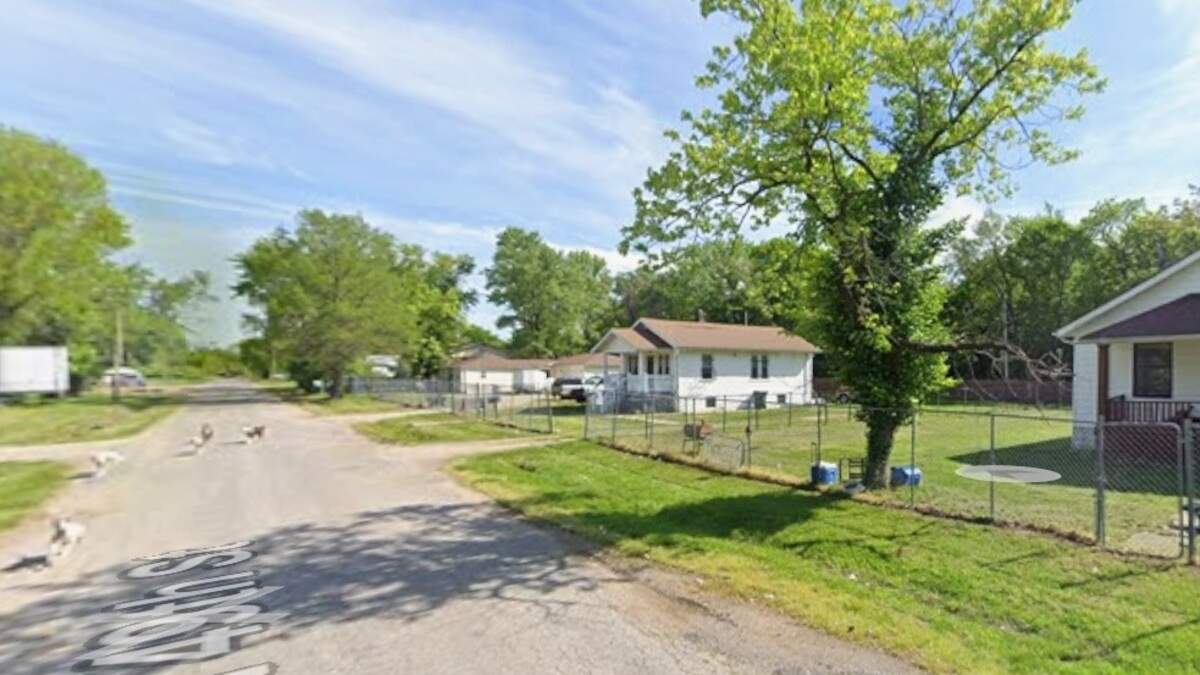 Two dogs believed to have mauled metro-east man are captured, others at large