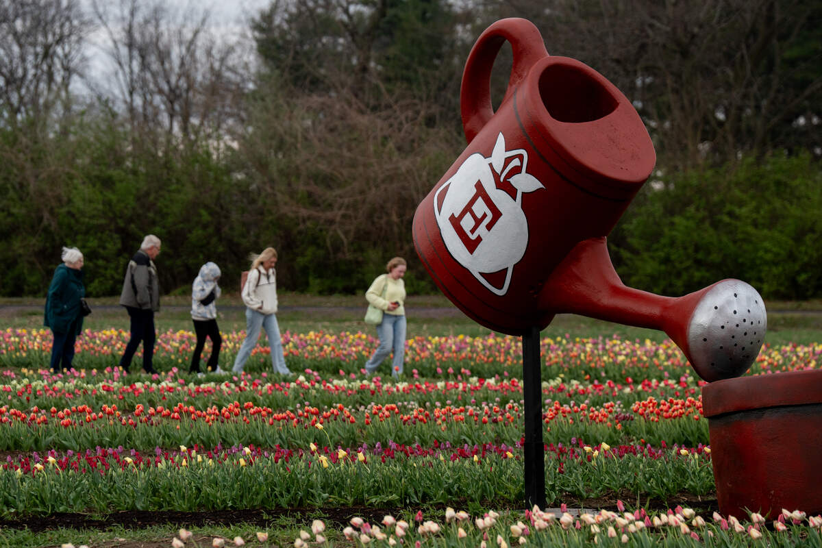 Festival-goers walk by a giant watering can sculpture at the Eckert’s Farm Tulip Trail on Friday in Belleville.