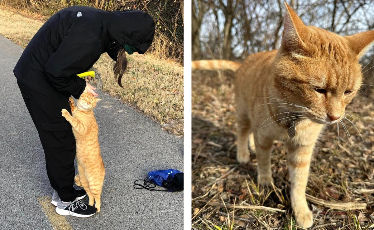 Newt didn’t like spending time indoors, unless it was a cold winter day, his owner said.