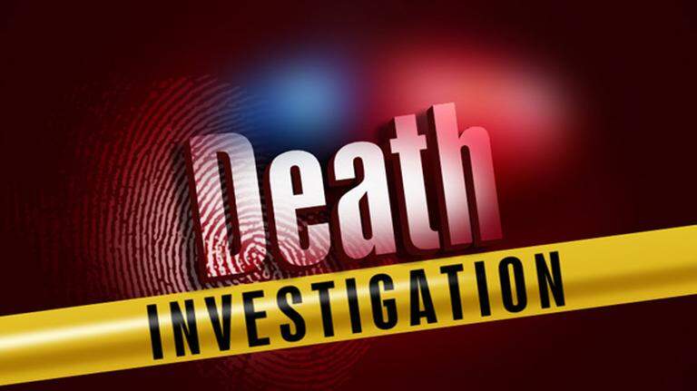 Pedestrian hit by vehicle, killed on metro-east highway