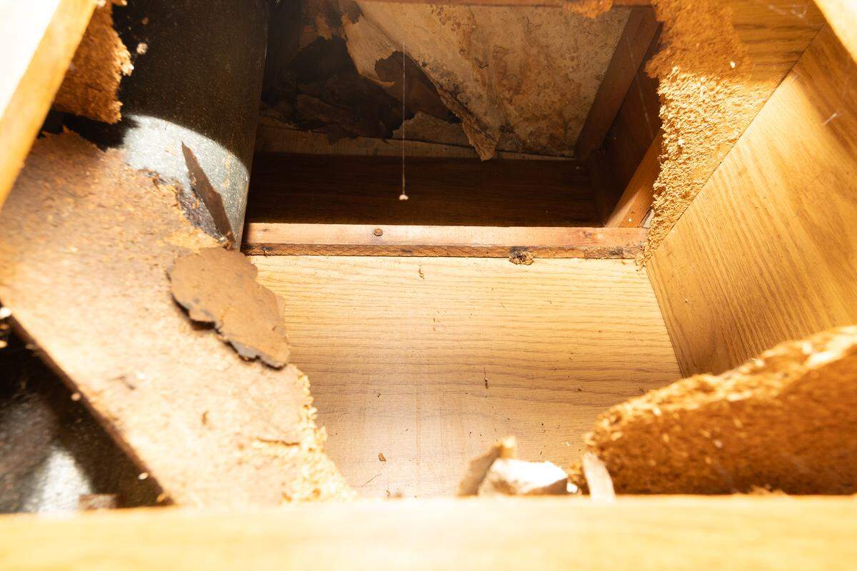 A kitchen cabinet is crumbling inside Matthew Clevenger’s home.