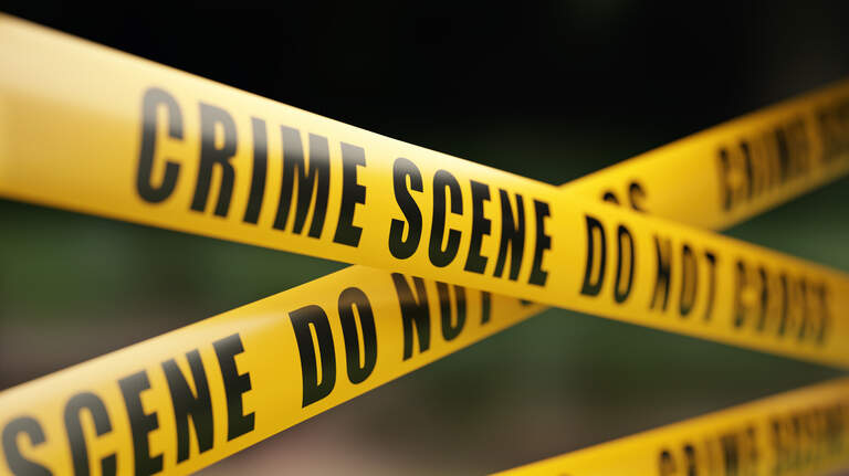 Metro-east crime and public safety roundup. Here's what to know