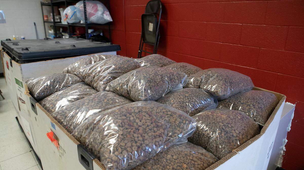 Bags of dog food are mixed and stacked in the Gateway Pet Guardians pantry for pick-up.