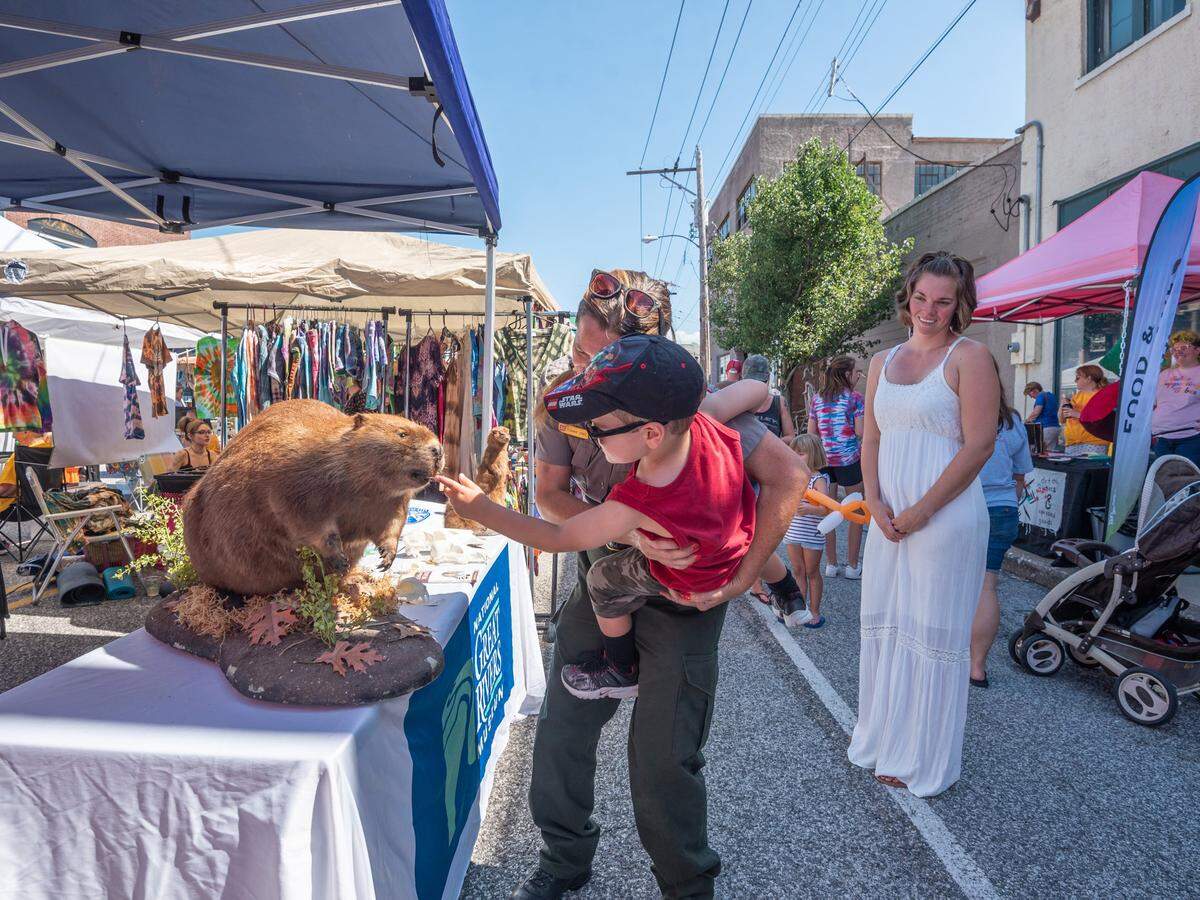A variety of educational, food and vendor booths will be part of the Mississippi Earthtones Festival Saturday, Sept. 17, in Alton. For more information, visit www.facebook.com/EarthtonesFestival.