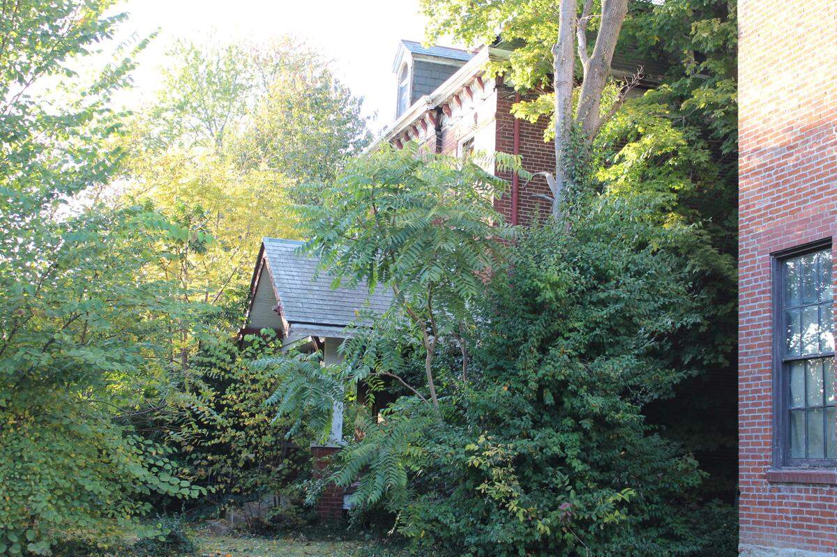 The wraparound porch of a historic home at 107 E. D St. near downtown Belleville is hidden by overgrown trees and bushes.
