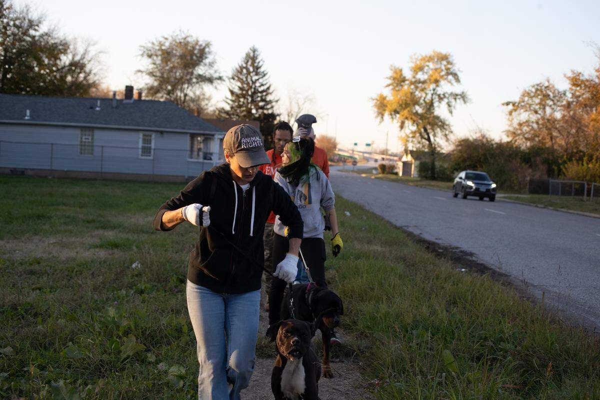 During the cleanup, organizers found a location with two dogs chained inhumanely to a stake. They freed the dogs, and convinced the owner to move them to a location with adequate food and shelter.