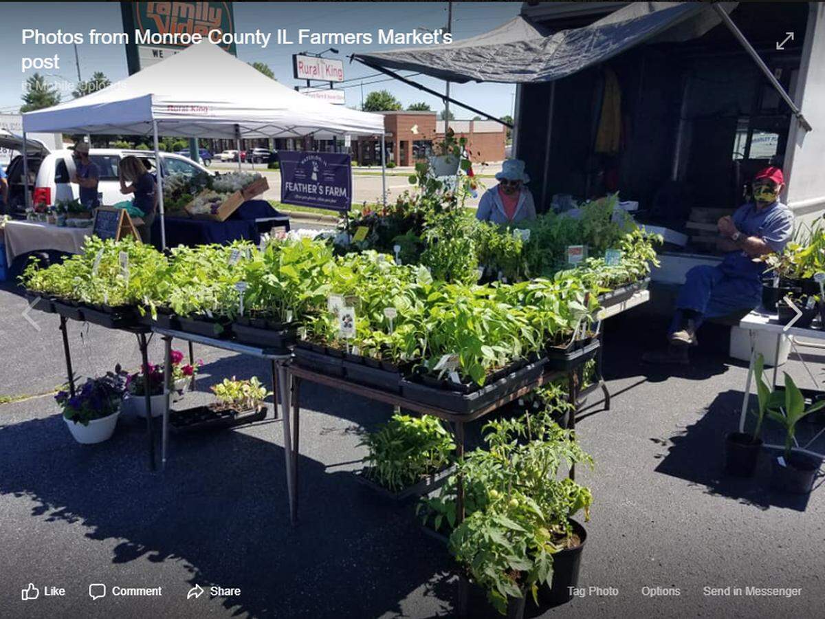 The Monroe County Farmers’ Market in Waterloo is held on Saturdays, May through October, in the Family Video parking lot in Waterloo.