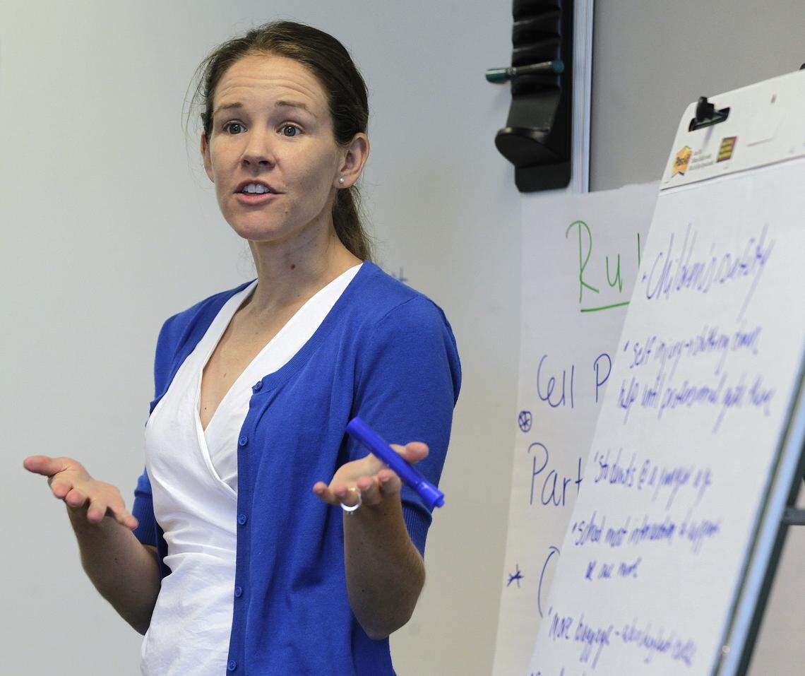Natalie Ruth, with Chestnut Health Systems, was one of the experts at the Youth Mental Health First Aid seminar, a training for teachers and school employees on issues specific to teens and how best to handle them, at the St. Clair County Regional Office of Education in Belleville.