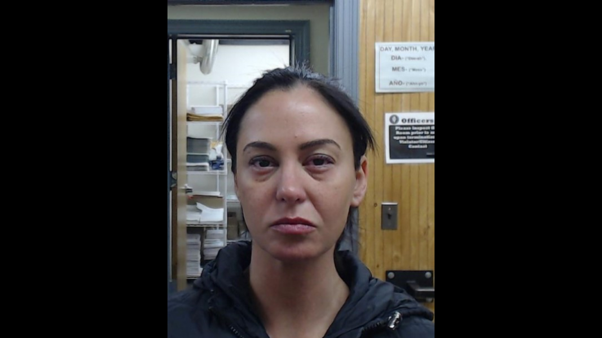 Erin Zilka, 35, was arrested and charged with a DUI after police say the car she was driving crashed into a box truck, killing a passenger in Illinois.