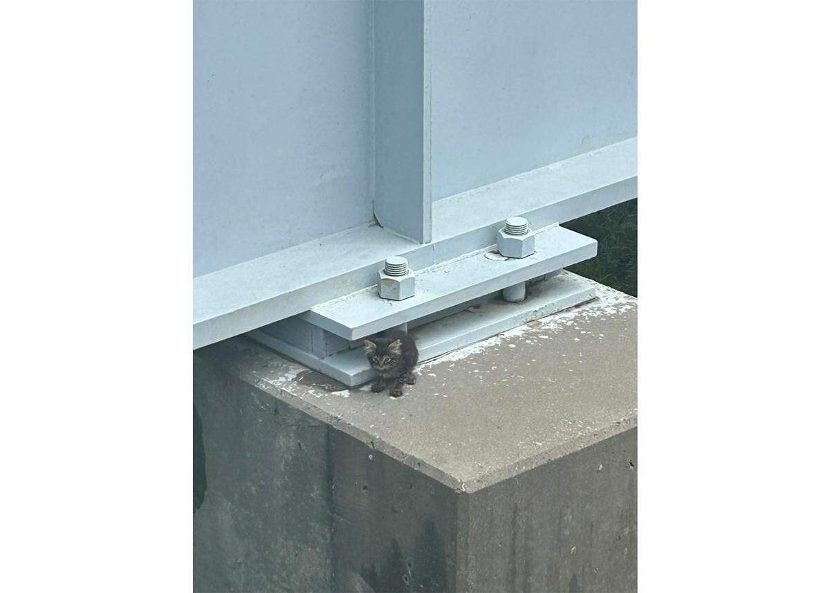 Lombardo as he was found on the Metrolink overpass near SWIC station.