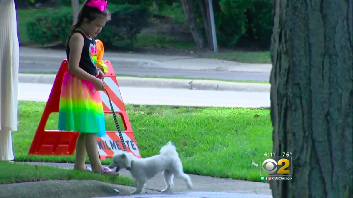 Wilmette mom Corey Widen is furious after a neighbor called police and child services after seeing her 8-year-old daughter, pictured here, walking a dog in the neighborhood in Illinois.