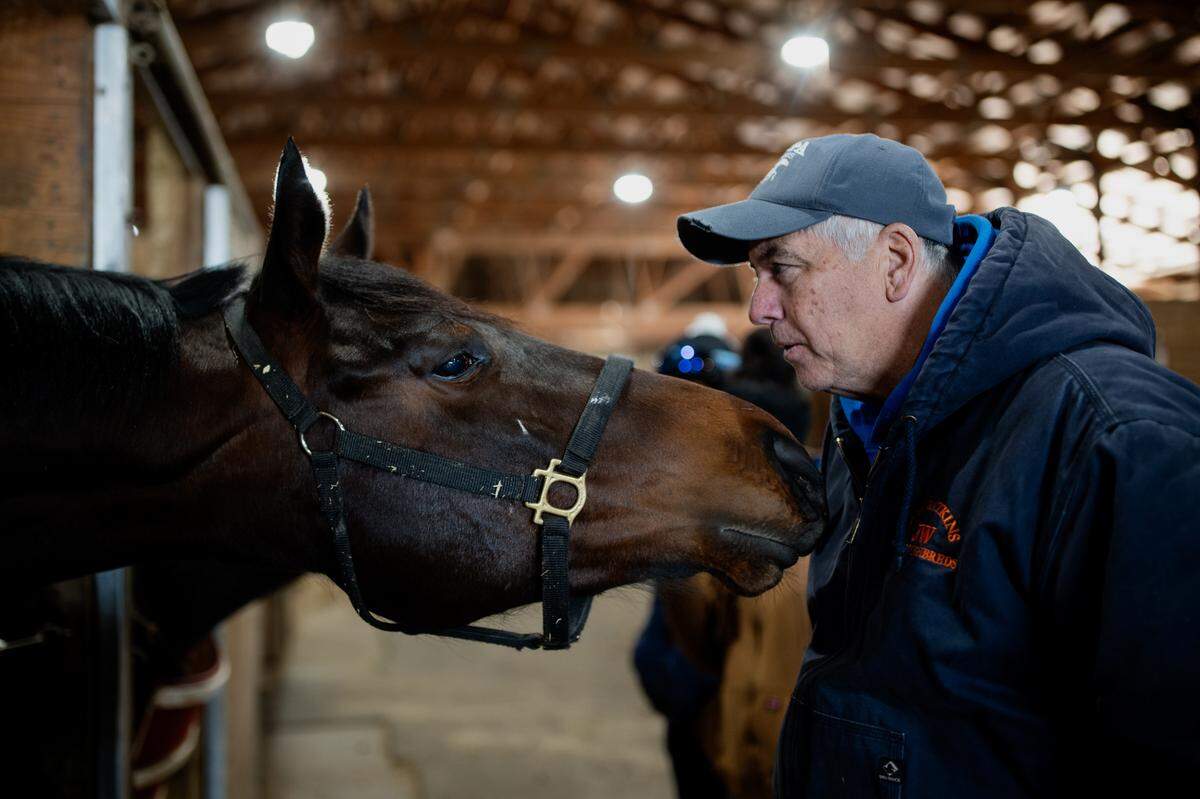 Jim Watkins, the Illinois Thoroughbred Horsemen’s Association president, speaks to Kenzington Avenue, a 2-year-old thoroughbred horse, on Thursday, March 6, 2025, at Fairmount Park in Collinsville.