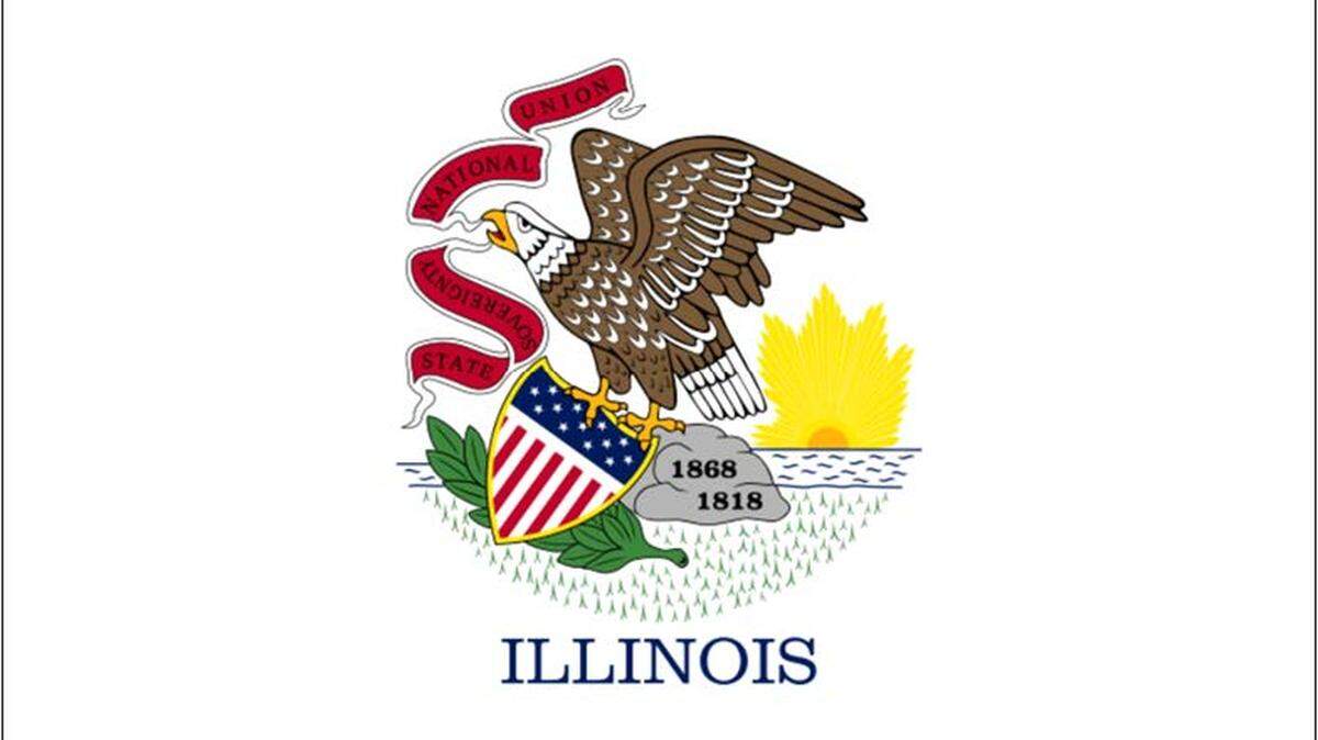 Illinois residents can vote to replace the current state flag, adopted in 1915, with one of the new designs or keep it.