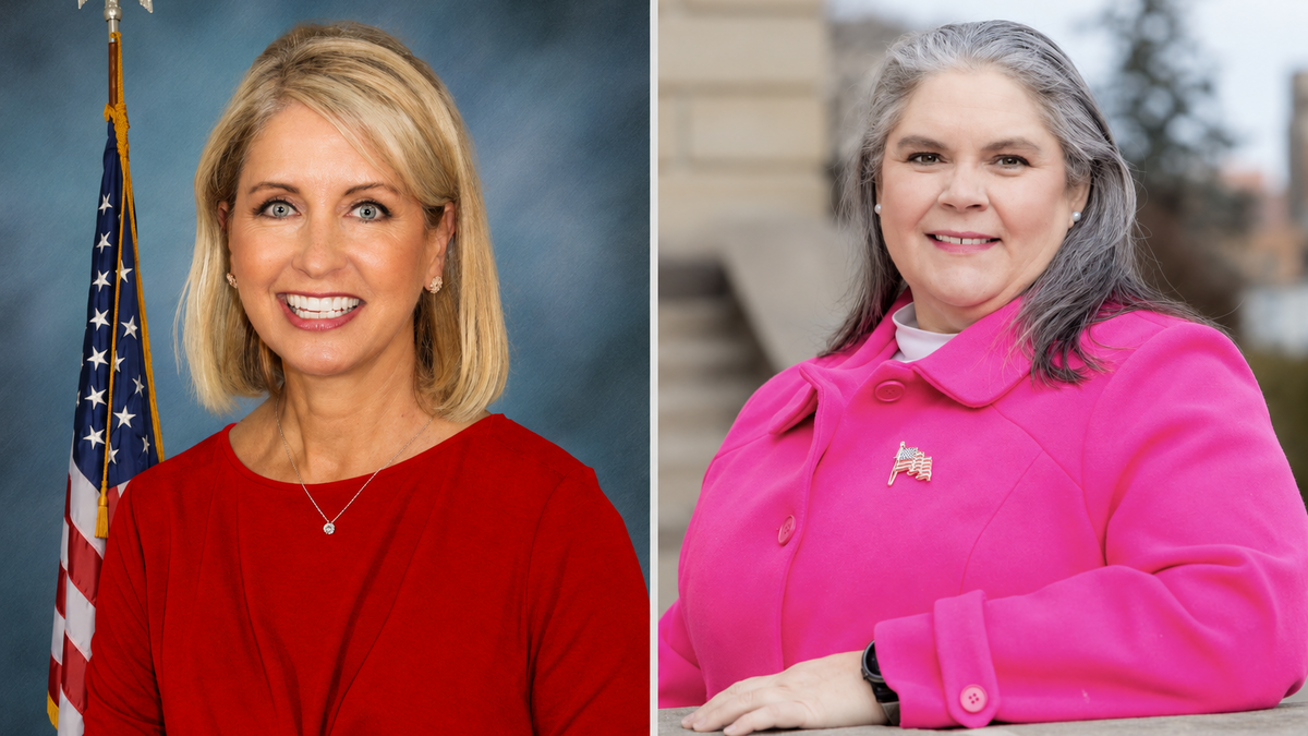 Miller has Democratic challenger this time in metro-east congressional district