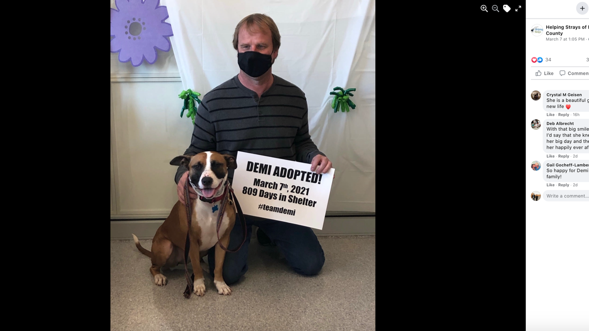Demi was adopted after spending more than two years at the Columbia, Illinois, shelter.