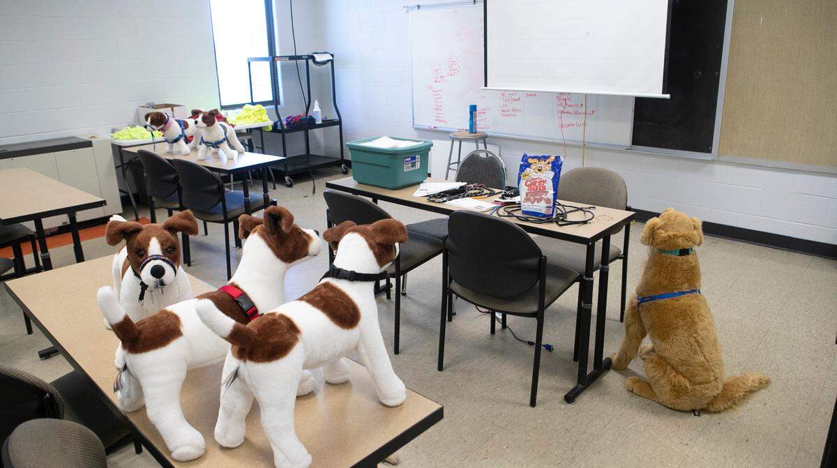 Stuffed dogs wait for the next round of volunteer training at Gateway Pet Guardians in East St. Louis.