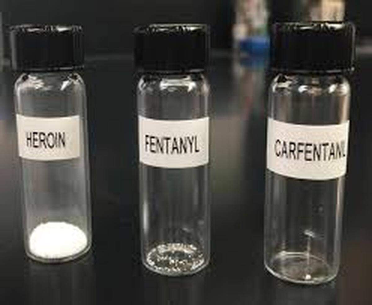 Lethal doses of heroin, fentanyl and carfentanil.