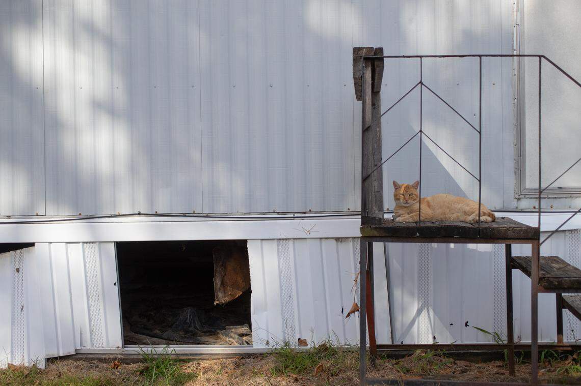 A stray cat sits on the detached front steps of a mobile home with damaged skirting at Swansea Mobile Home Park, where many of the units appear to be vacant.