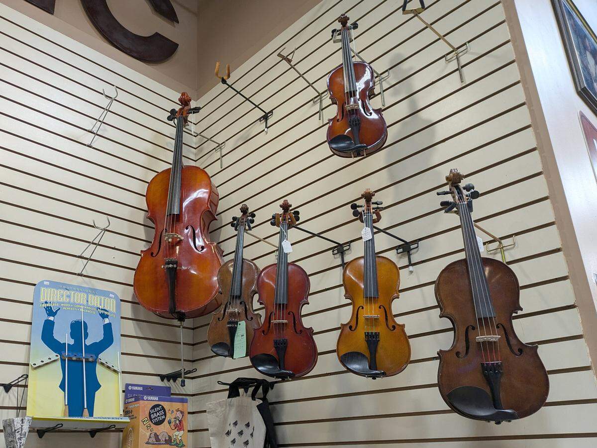 Violins, violas and a cello