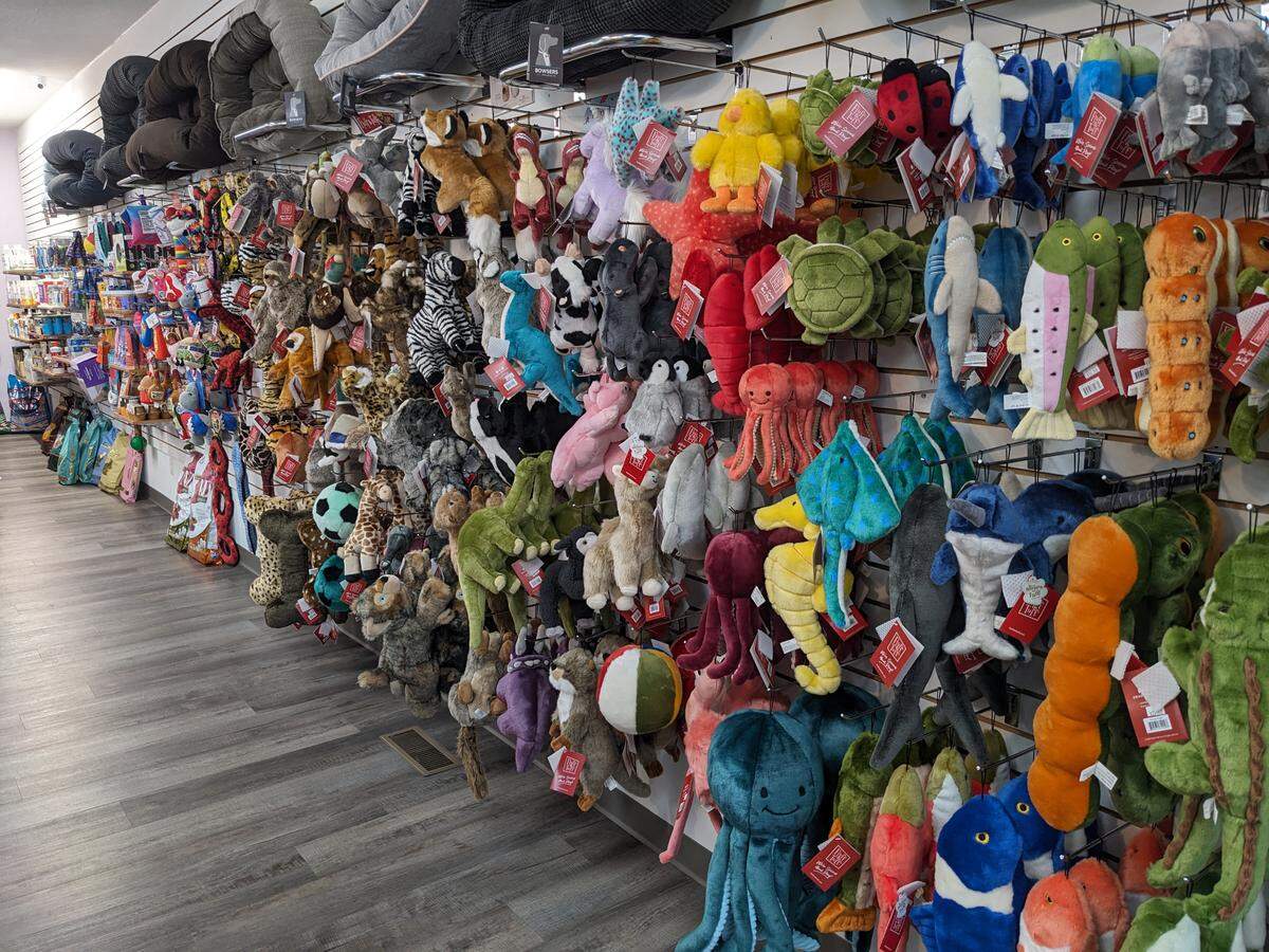 Muttley & Me in Swansea has plenty of toys for dogs of all sizes.
