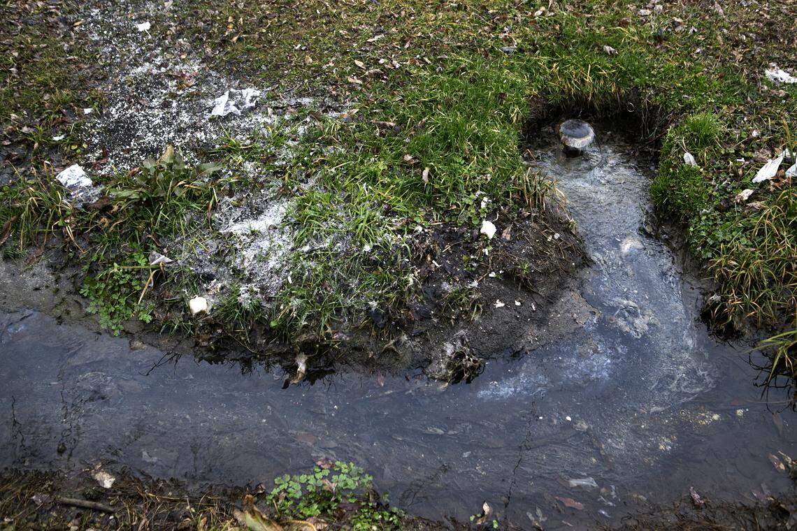 What appears to be raw sewage and storm water are being pumped out of a pipe in the 200 block of North 82nd Street in Centreville. Neighbors complain about the stench when the temperatures are warm. Tampons, toilet paper and other items can be seen in the water and on the ground near the pipe.