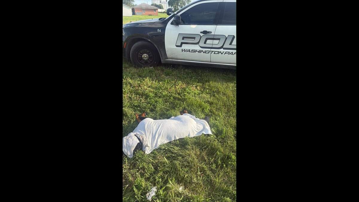 Washington Park Police respond Wednesday afternoon to a report of a dog being thrown out of a truck. Officers found the dog overheated and helpful humans covered the dog in wet towels to try to cool him down. Later, police learned the dog was dragged by a vehicle.