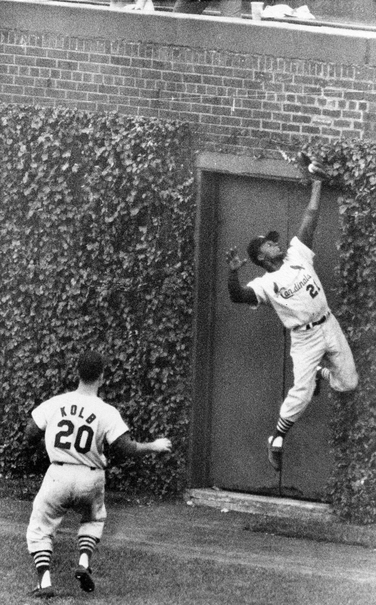 A high leap by St. Louis’ Curt Flood in front of gate in Wrigley Field right center field wall brings down long drive by Nelson Mathews of Chicago Cubs in fifth inning of game in Chicago, Sept. 18, 1962.(AP Photo)