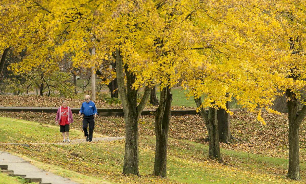 This file photo shows Bellevue Park in Belleville. The city has asked the current Public Works Department director to also serve as interim director of the Parks and Recreation Department.